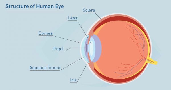 Better Vision Through Corneal Transplant - Sunway Eye Centre - Eye ...